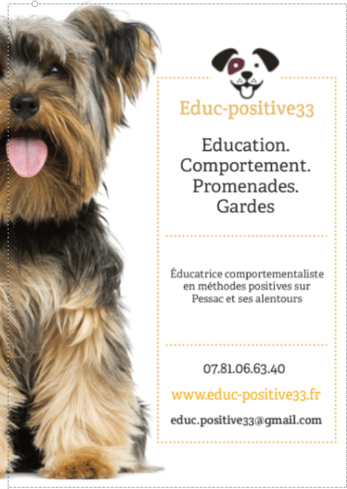 flyer d'Educ-positive33