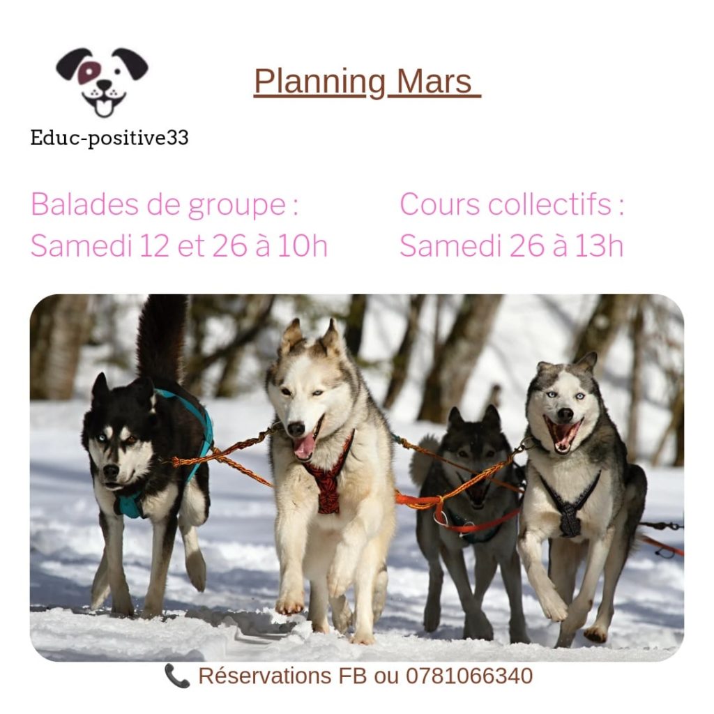 Planning cours canin Mars 2022