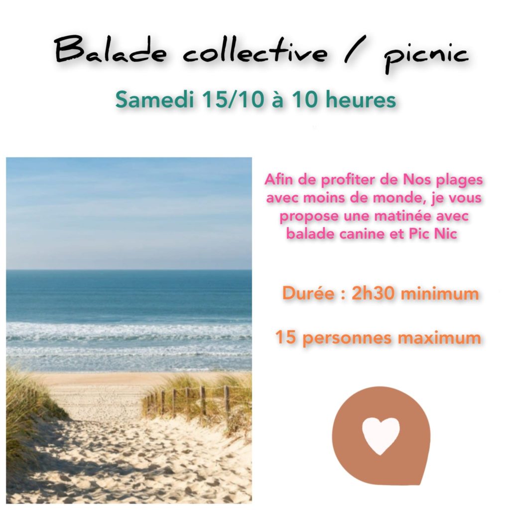 Ballade collective Pinic