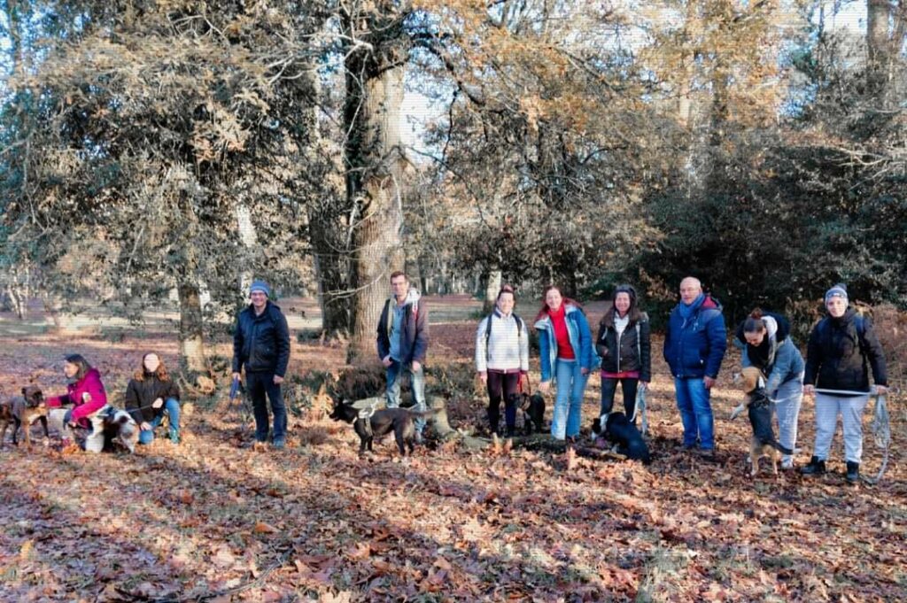 educ positve33 groupe